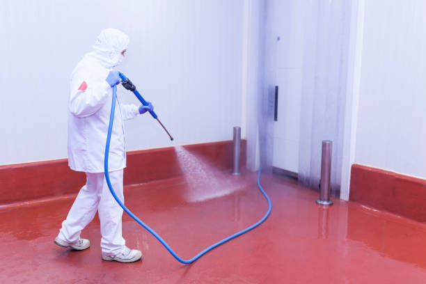 Best Gutter Cleaning and Brightening in Keokuk, IA